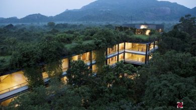 Photo of Экзотические отели в джунглях