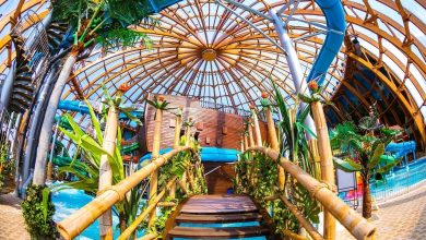 Photo of Аквапарки и парки развлечений