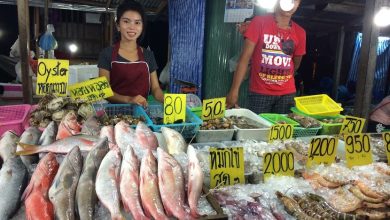 Photo of Свежие морепродукты Таиланда