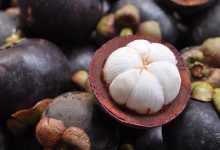 Photo of Разнообразие вкусов в Тайланде