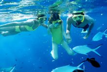 Photo of Отели для дайвинга и сноркелинга