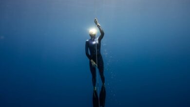 Photo of Преимущества обучения в школе фридайвинга