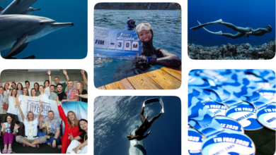 Photo of Школа фридайвинга: Введение в мир безграничных глубин